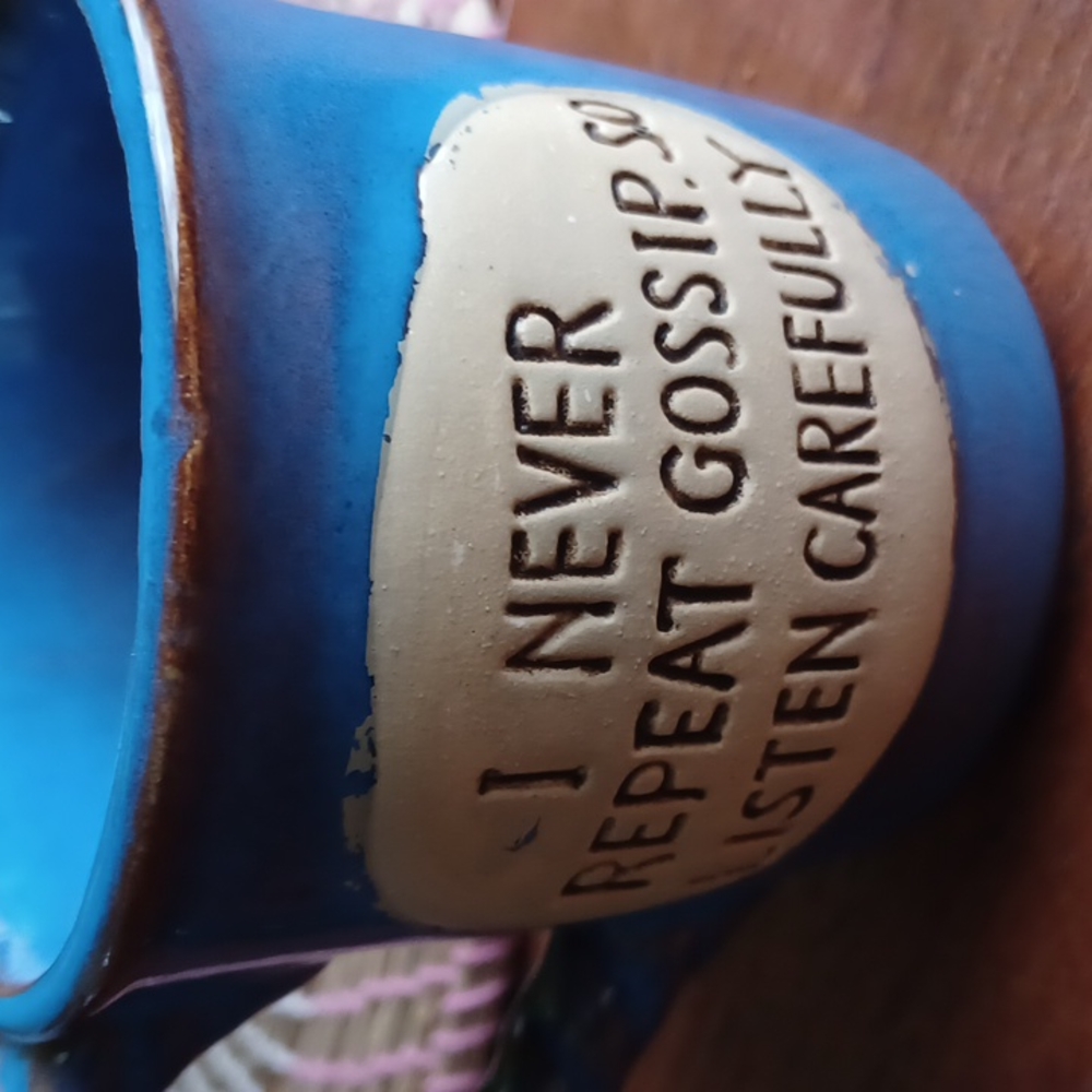 Funny Mug - "I Never Repeat Gossip...So Listen Carefully" 🤣